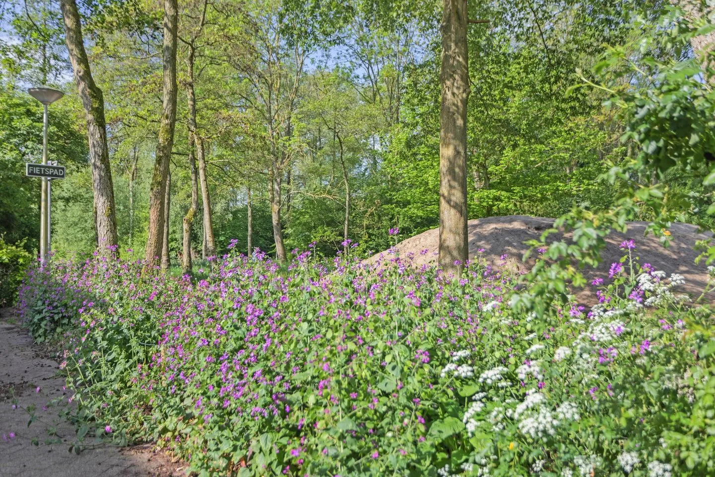 Volterbeek 35 Zwolle thumbnail 45