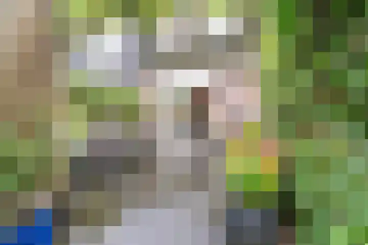 Volterbeek 9 Zwolle thumbnail 22