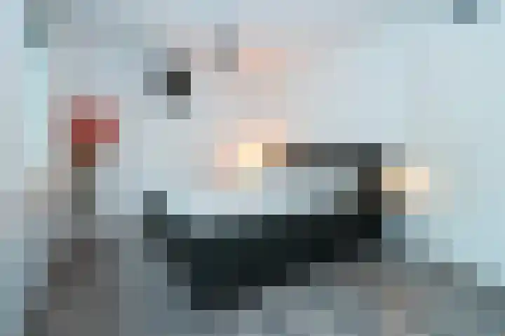 Volterbeek 9 Zwolle thumbnail 26
