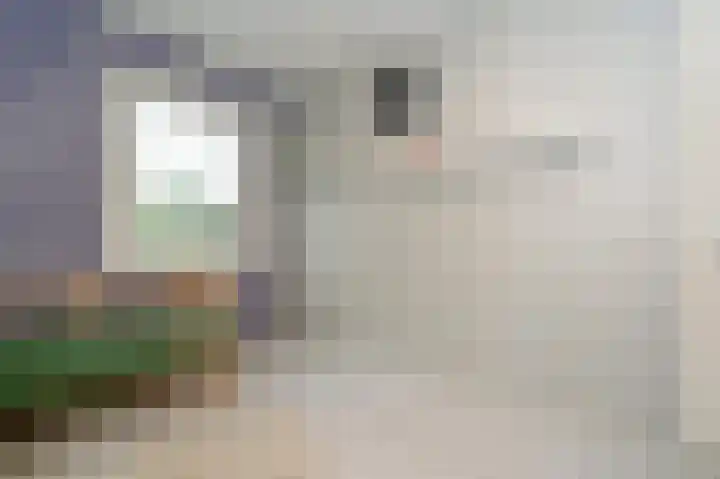 Volterbeek 9 Zwolle thumbnail 35