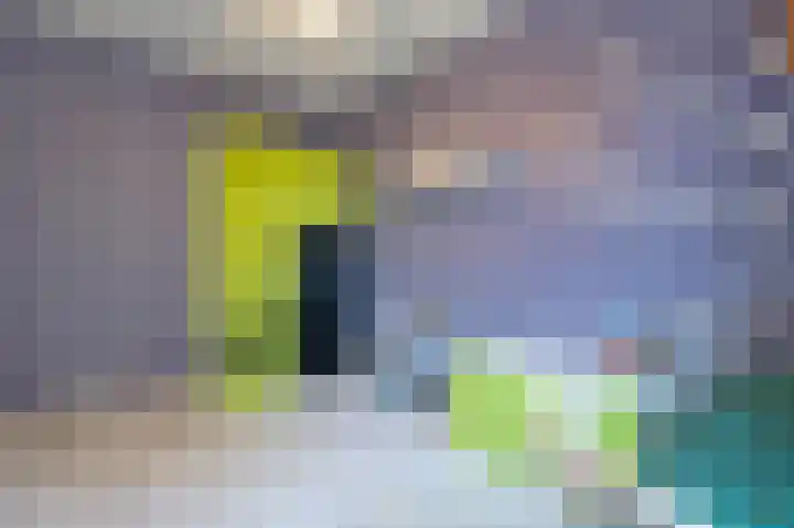 Volterbeek 9 Zwolle thumbnail 36