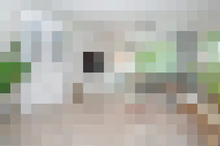 Volterbeek 9 Zwolle thumbnail 7