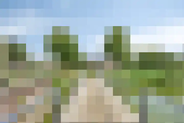 Volterra 13 Breda thumbnail 39