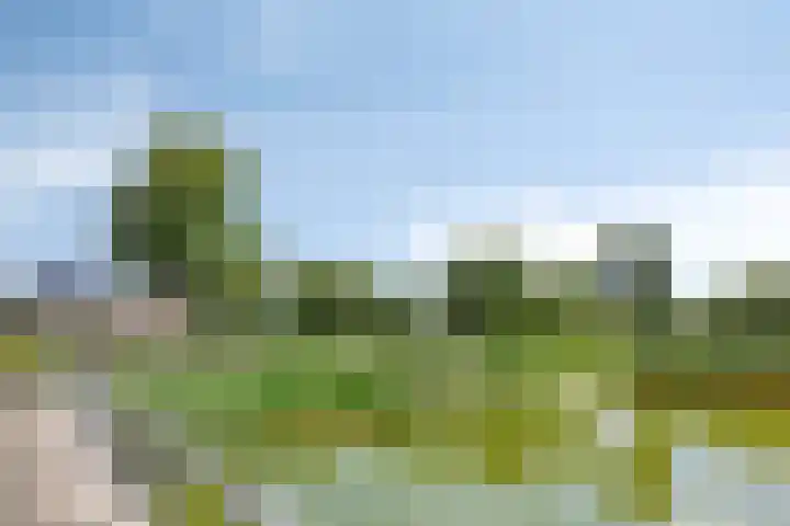 Volterra 13 Breda thumbnail 40