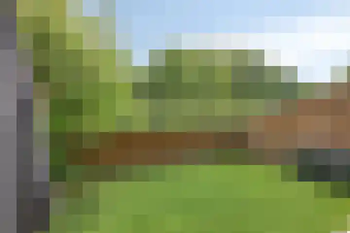 Volterra 13 Breda thumbnail 5