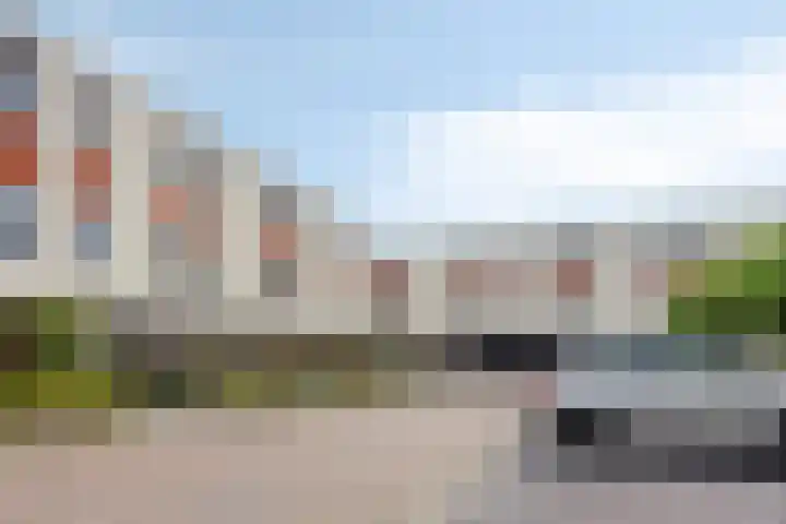 Volterra 13 Breda thumbnail 6