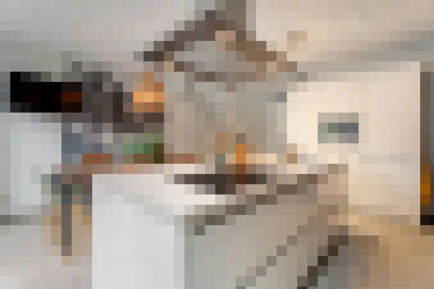 Volterra 21 Breda thumbnail 10