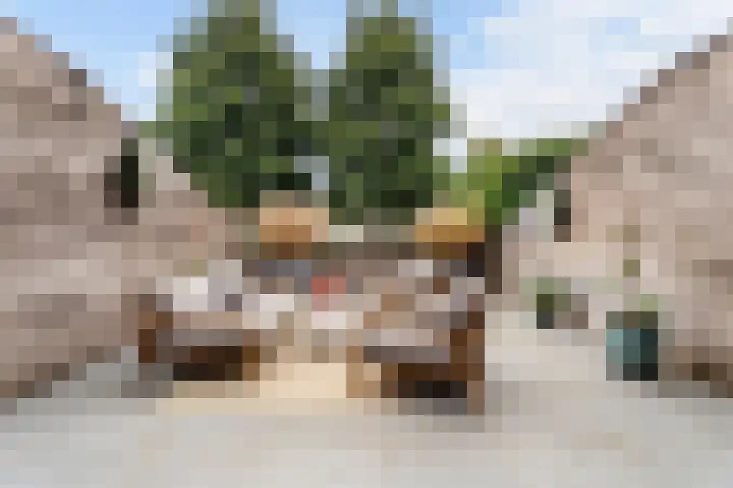 Volterra 21 Breda thumbnail 14