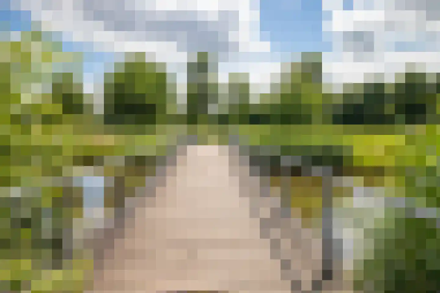 Volterra 21 Breda thumbnail 33
