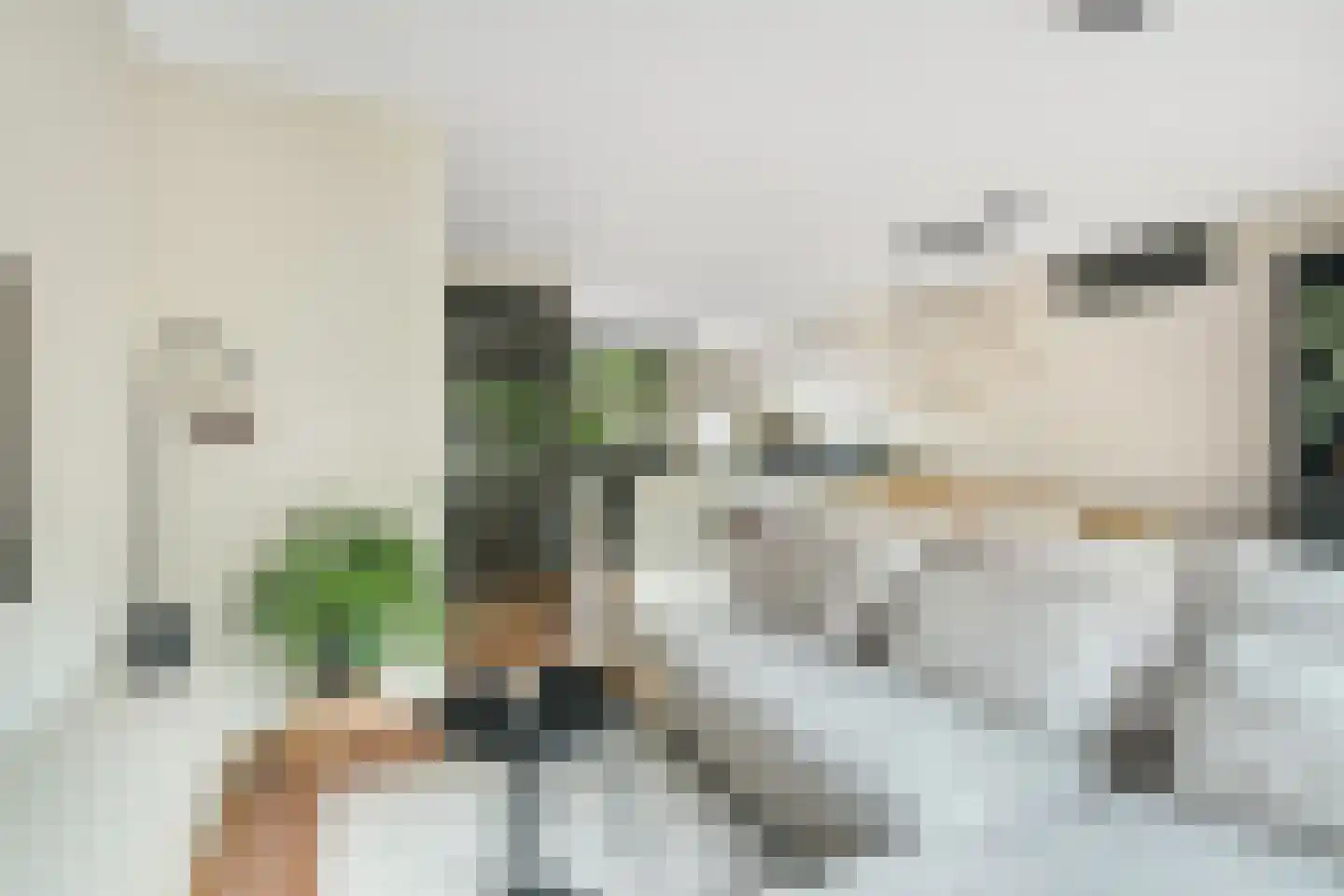 Volterra 4 Breda thumbnail 19