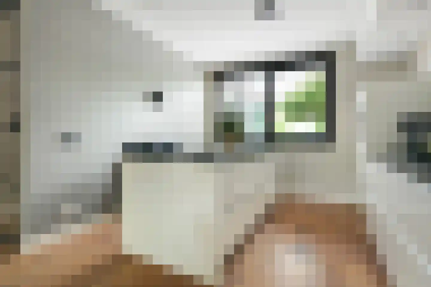 Volterra 4 Breda thumbnail 24
