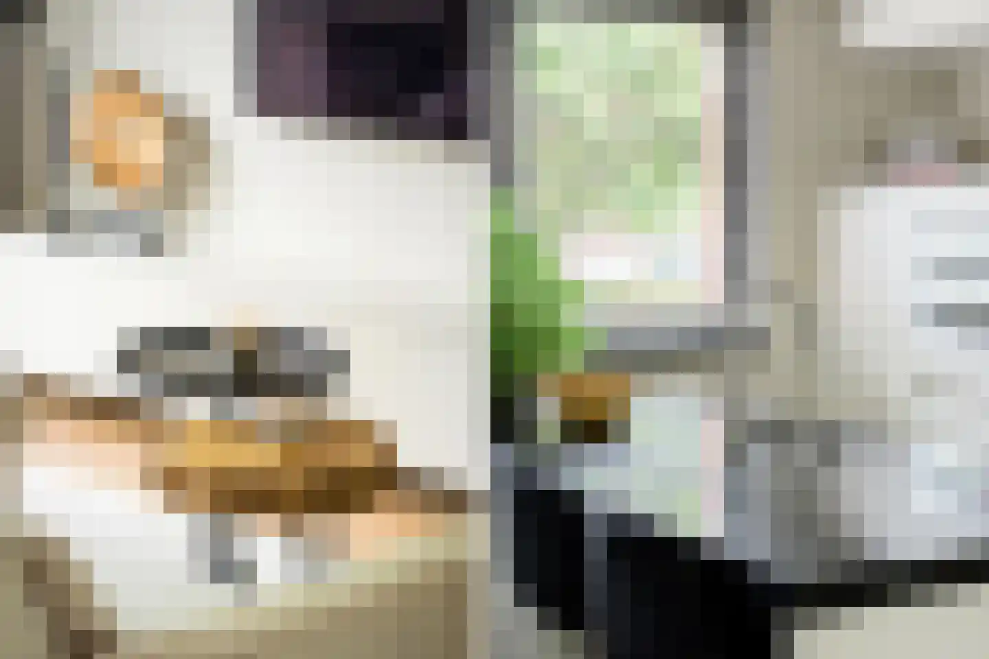 Volterra 4 Breda thumbnail 27