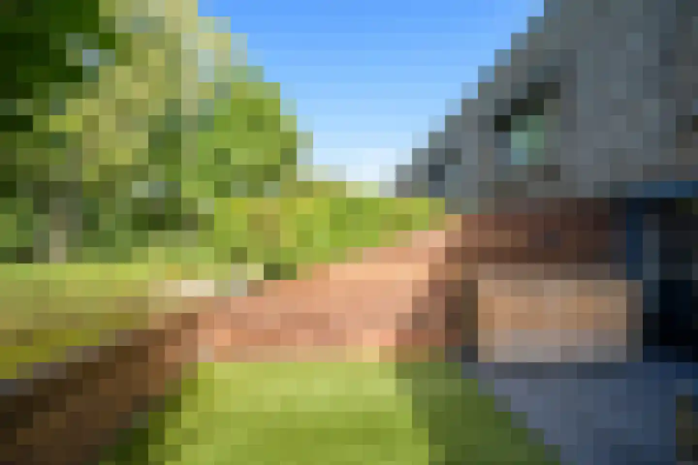 Volterra 4 Breda thumbnail 32