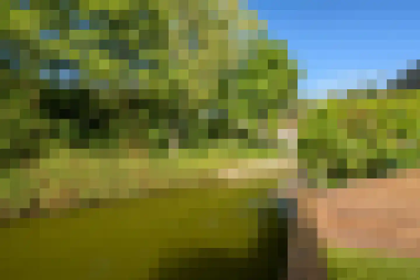 Volterra 4 Breda thumbnail 33