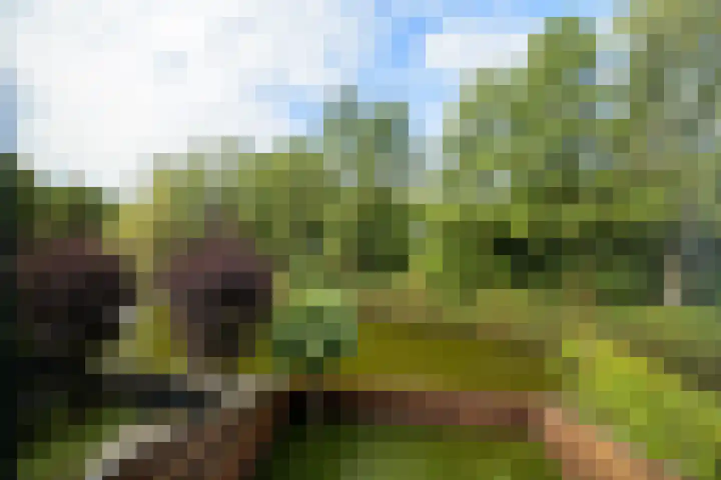 Volterra 4 Breda thumbnail 59