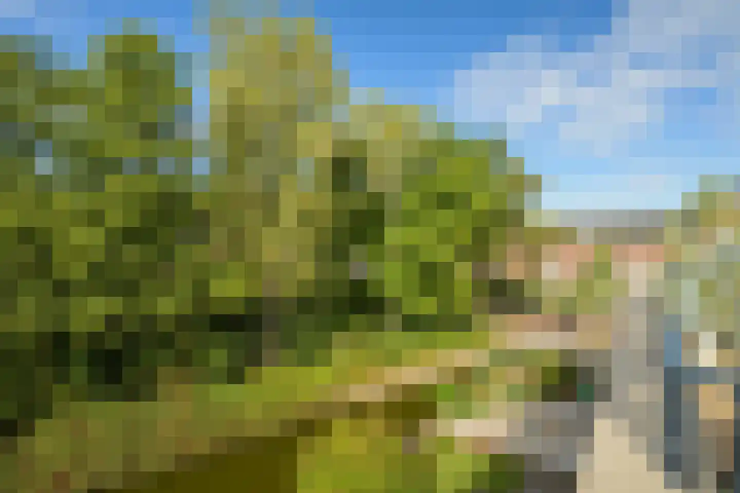 Volterra 4 Breda thumbnail 60