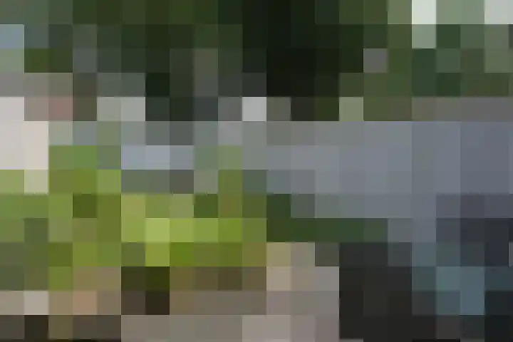 Volthebrink 29 1 Enschede thumbnail 16