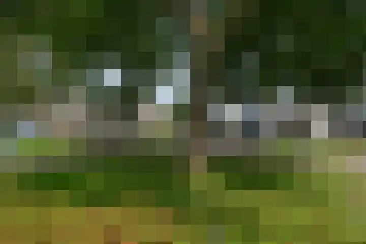 Volthebrink 29 3 Enschede thumbnail 15