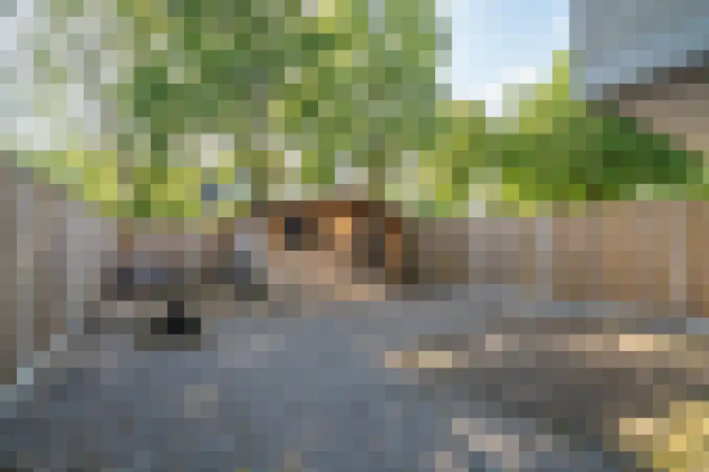 Volthebrink 33 Enschede thumbnail 23
