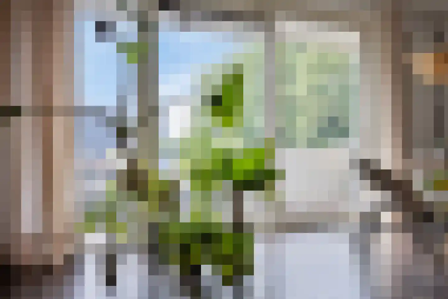 Voltstraat 40 03 Tilburg thumbnail 12