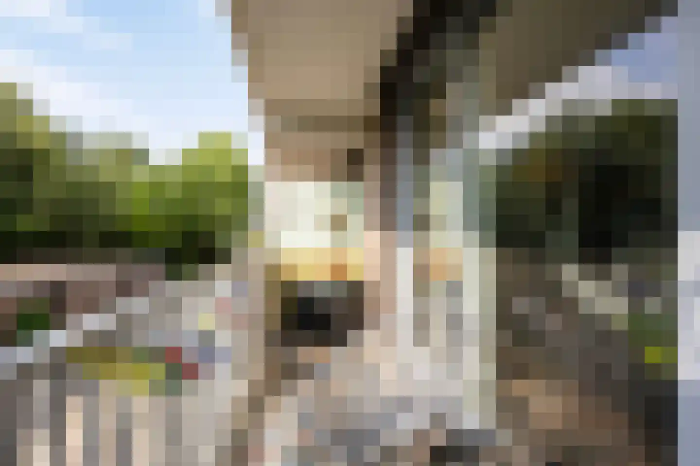 Voltstraat 40 03 Tilburg thumbnail 5