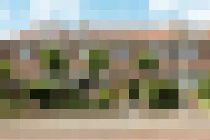 von Bönninghausenlaan 21 Lisse