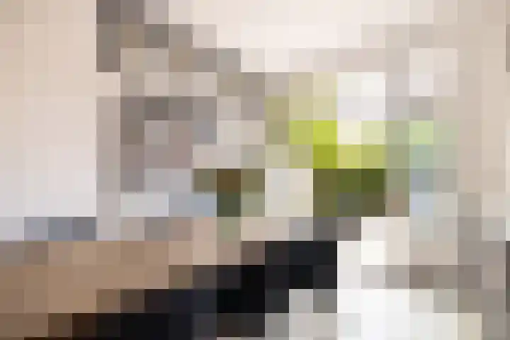 von Bönninghausenlaan 21 Lisse thumbnail 19