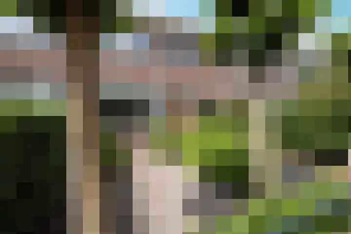 von Bönninghausenlaan 21 Lisse foto 2