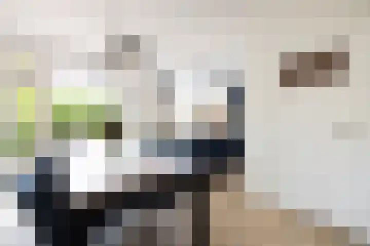 von Bönninghausenlaan 21 Lisse thumbnail 20