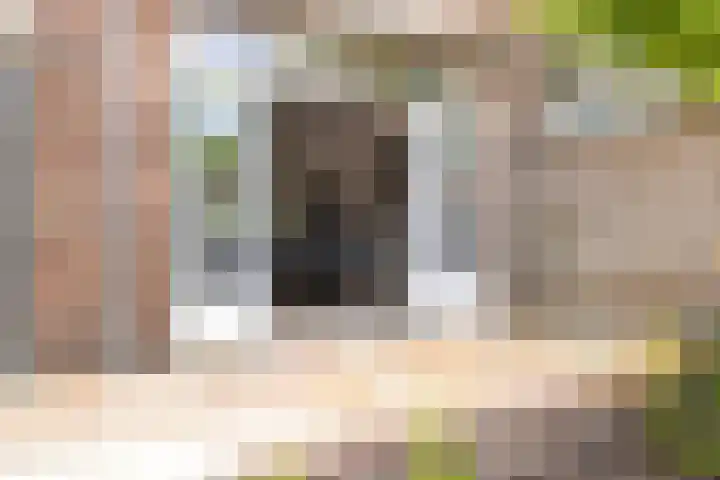 von Bönninghausenlaan 21 Lisse thumbnail 21