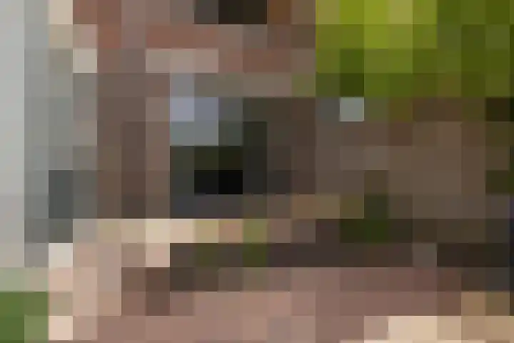 von Bönninghausenlaan 21 Lisse thumbnail 22