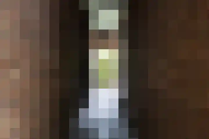 von Bönninghausenlaan 21 Lisse thumbnail 28