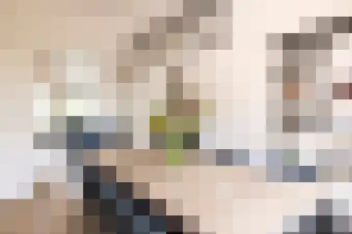 von Bönninghausenlaan 21 Lisse thumbnail 29