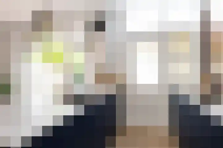 von Bönninghausenlaan 21 Lisse thumbnail 31