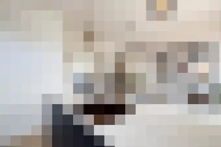 von Bönninghausenlaan 21 Lisse thumbnail 33