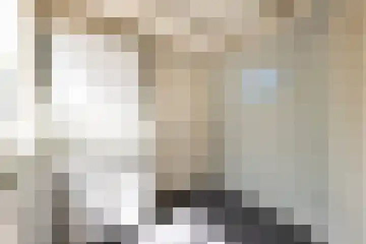 von Bönninghausenlaan 21 Lisse thumbnail 35