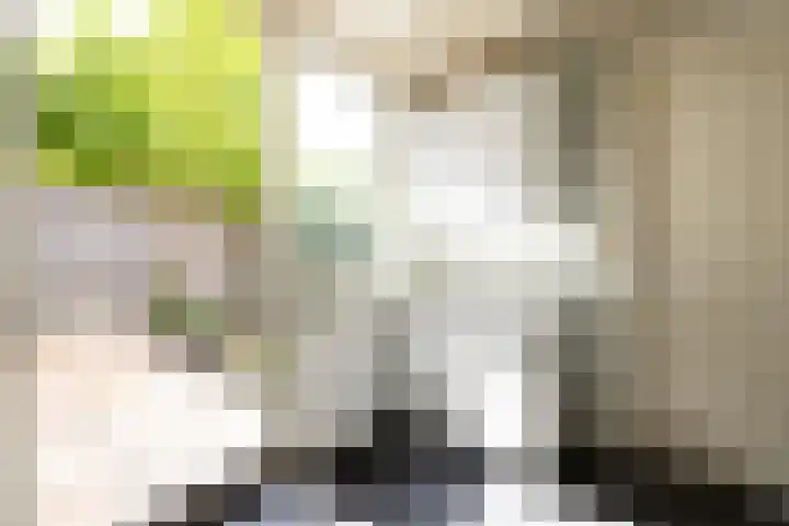 von Bönninghausenlaan 21 Lisse thumbnail 36