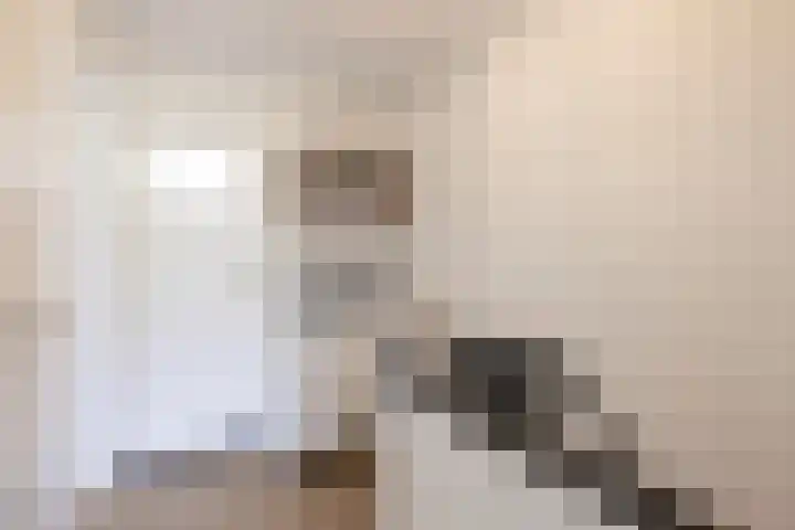von Bönninghausenlaan 21 Lisse thumbnail 38