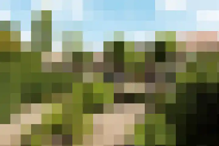 von Bönninghausenlaan 21 Lisse thumbnail 4