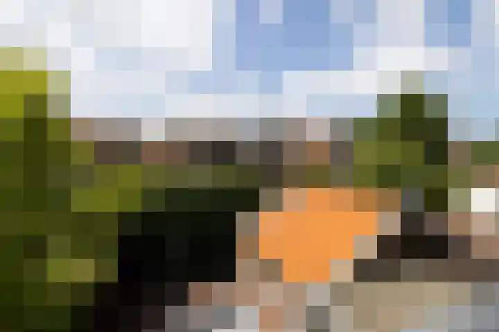 von Bönninghausenlaan 21 Lisse thumbnail 47