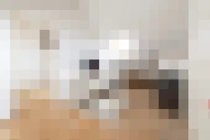 von Bönninghausenlaan 21 Lisse thumbnail 52