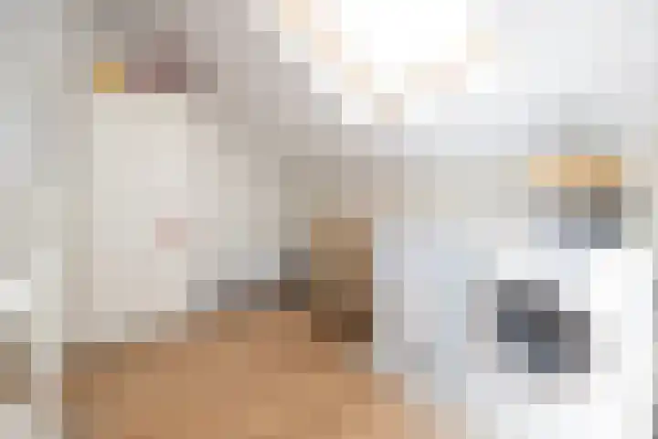von Bönninghausenlaan 21 Lisse thumbnail 53