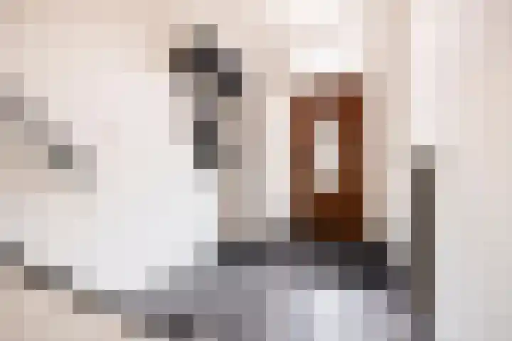 von Bönninghausenlaan 21 Lisse thumbnail 6