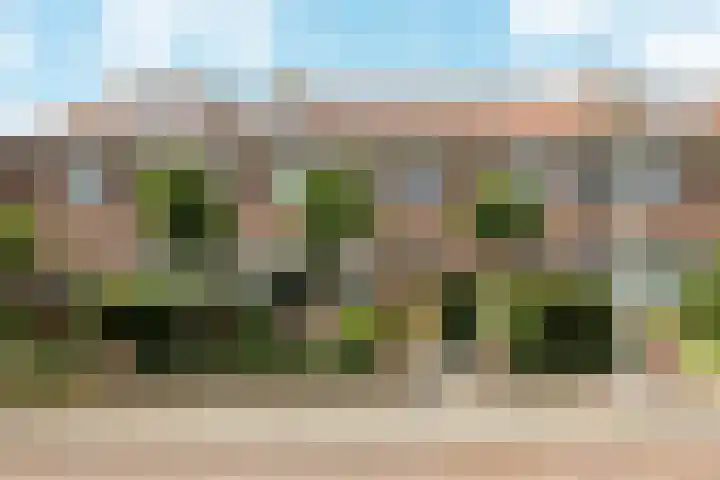 von Bönninghausenlaan 21 Lisse thumbnail 60