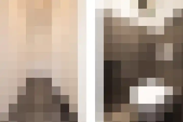 von Bönninghausenlaan 21 Lisse thumbnail 8