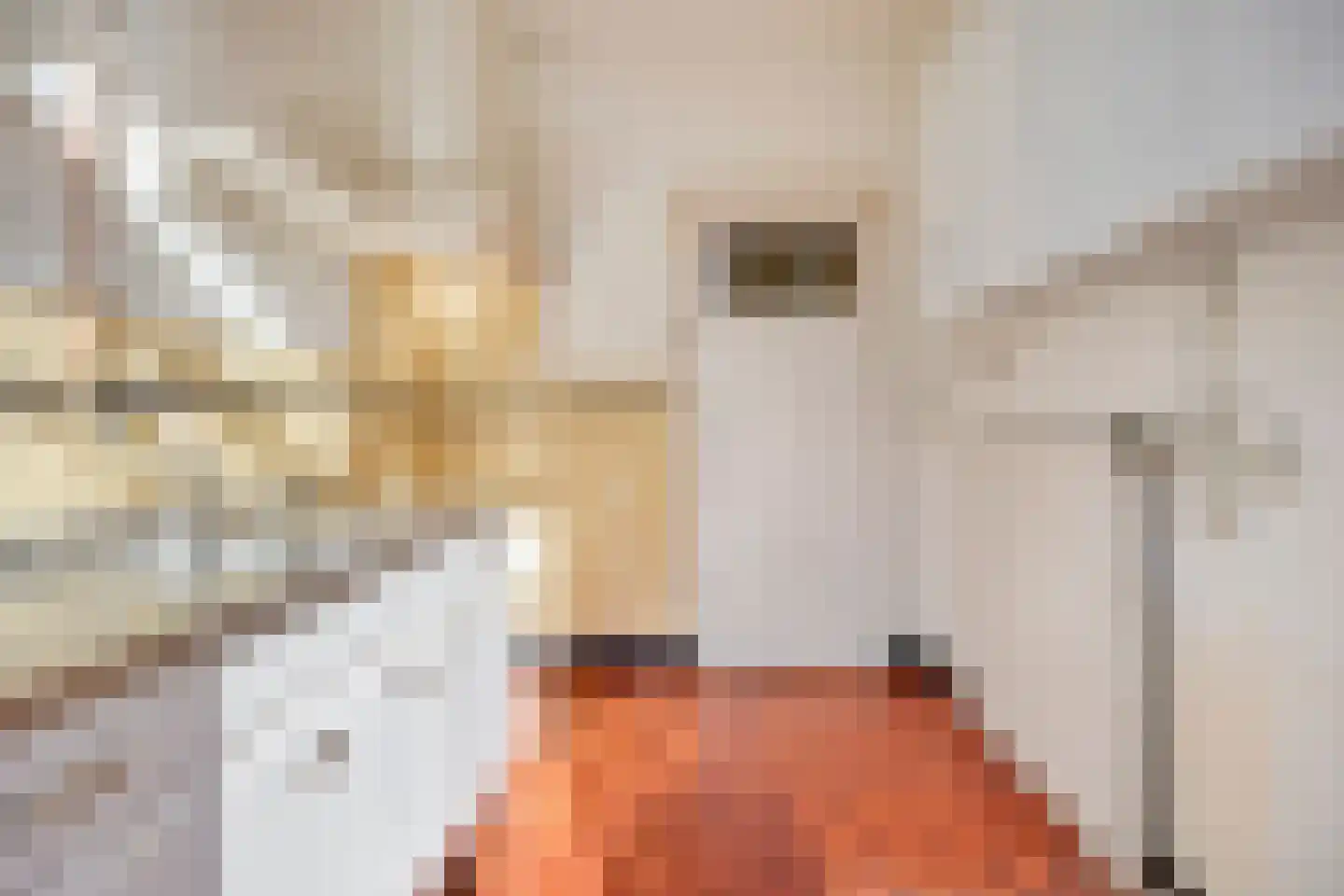 von Bönninghausenlaan 9 Lisse thumbnail 20