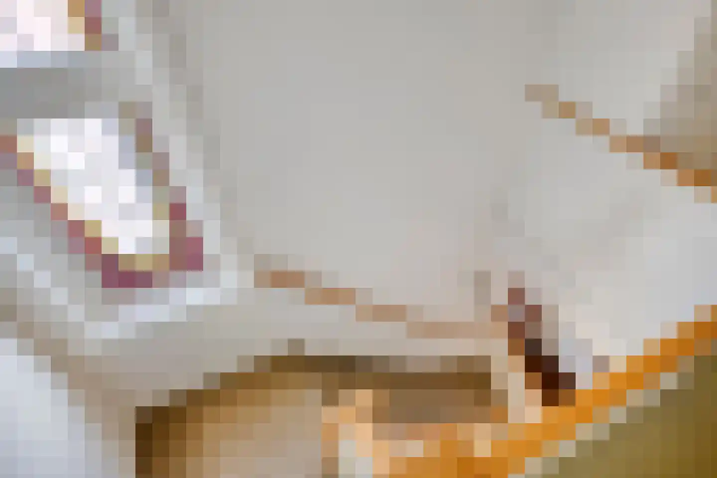 von Bönninghausenlaan 9 Lisse thumbnail 21