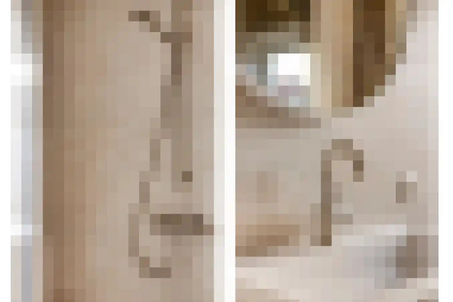 von Bönninghausenlaan 9 Lisse thumbnail 33