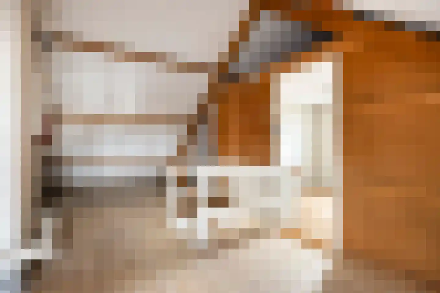 von Bönninghausenlaan 9 Lisse thumbnail 38