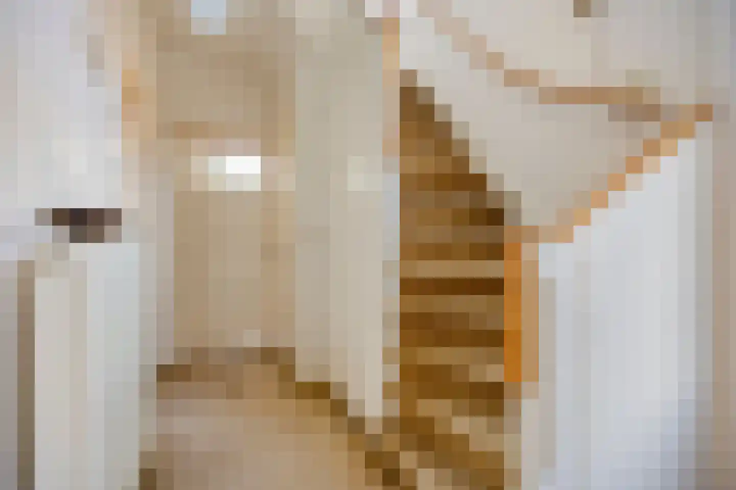 von Bönninghausenlaan 9 Lisse thumbnail 4